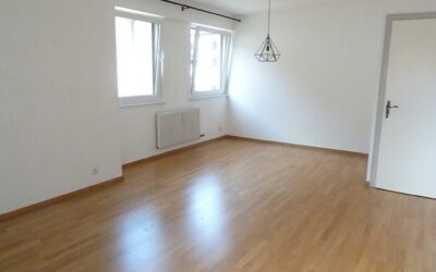 HAGUENAU 5 Pièces 113m²
