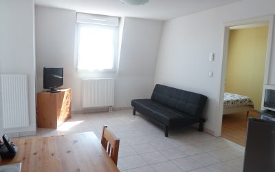 HAGUENAU 2 Pièces 37 m²